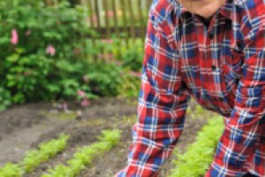Tips For Organic Gardeners