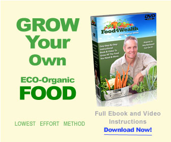 Grow Your Own Organic Food