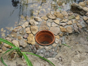 Water Garden-How I Placed Rocks With Built In Planters
