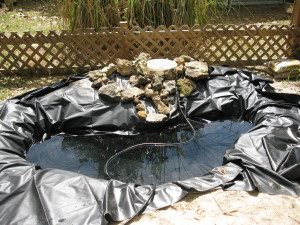 Water Garden-Liner With Some Water