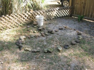 Water Garden-Initial Layout