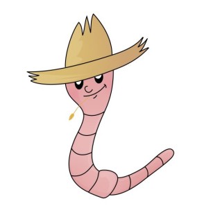 Worm Composting